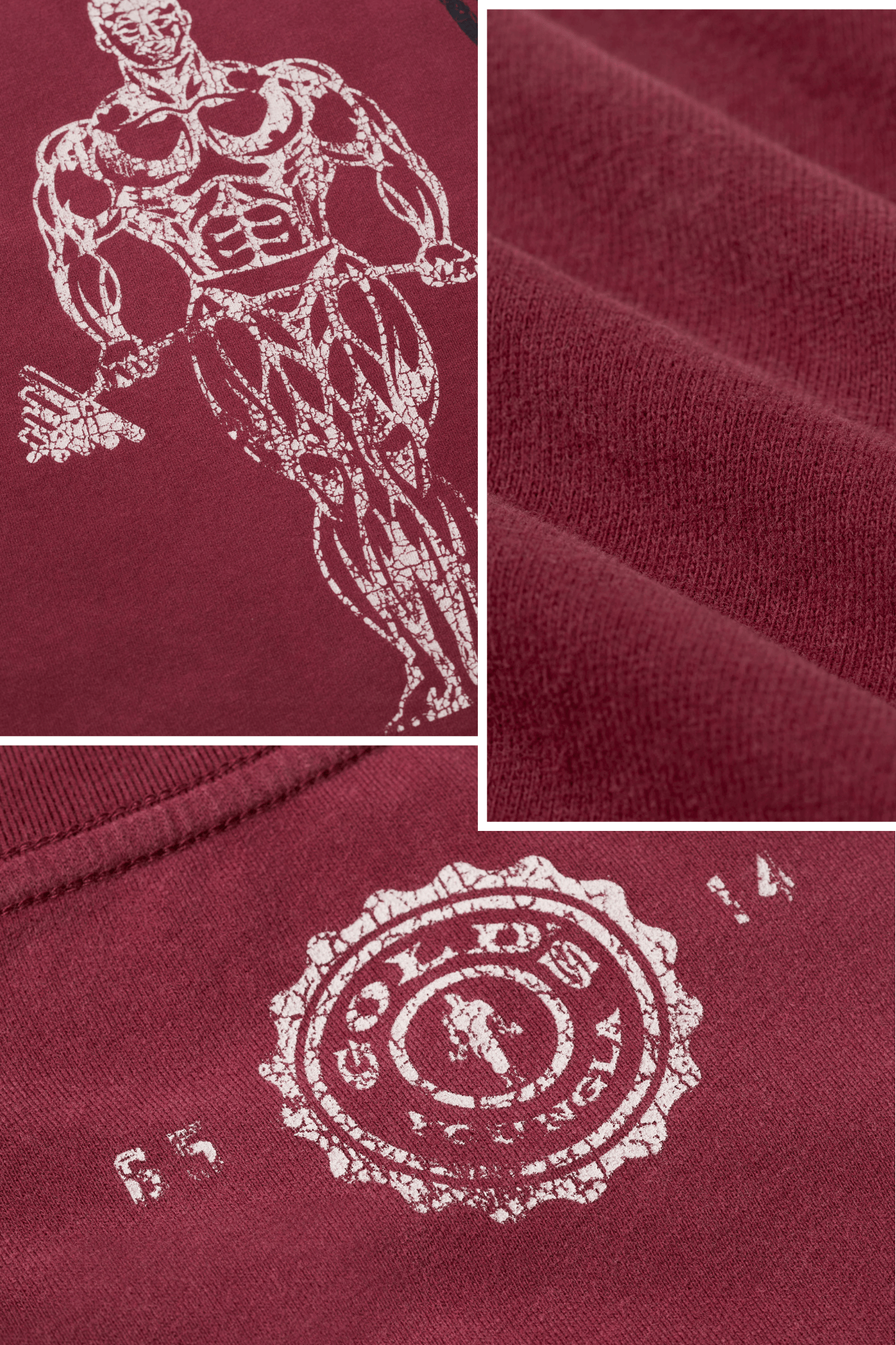 4213 - Gold's Iron Legacy Icon Tees