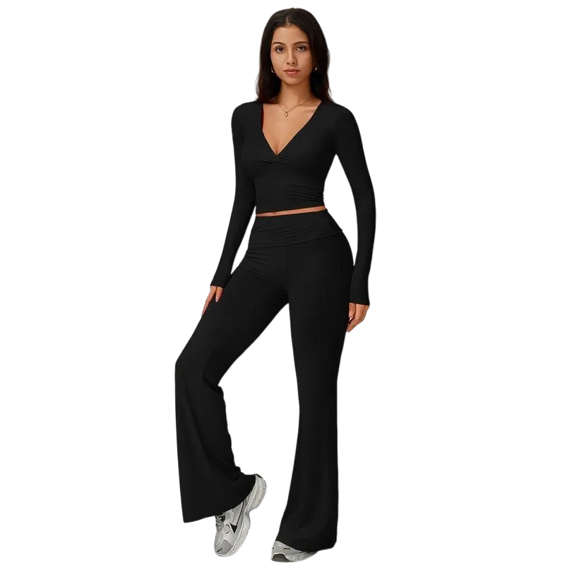 Elegant Casual V-Neck Long Sleeve Basic Two-Piece Outfit Set