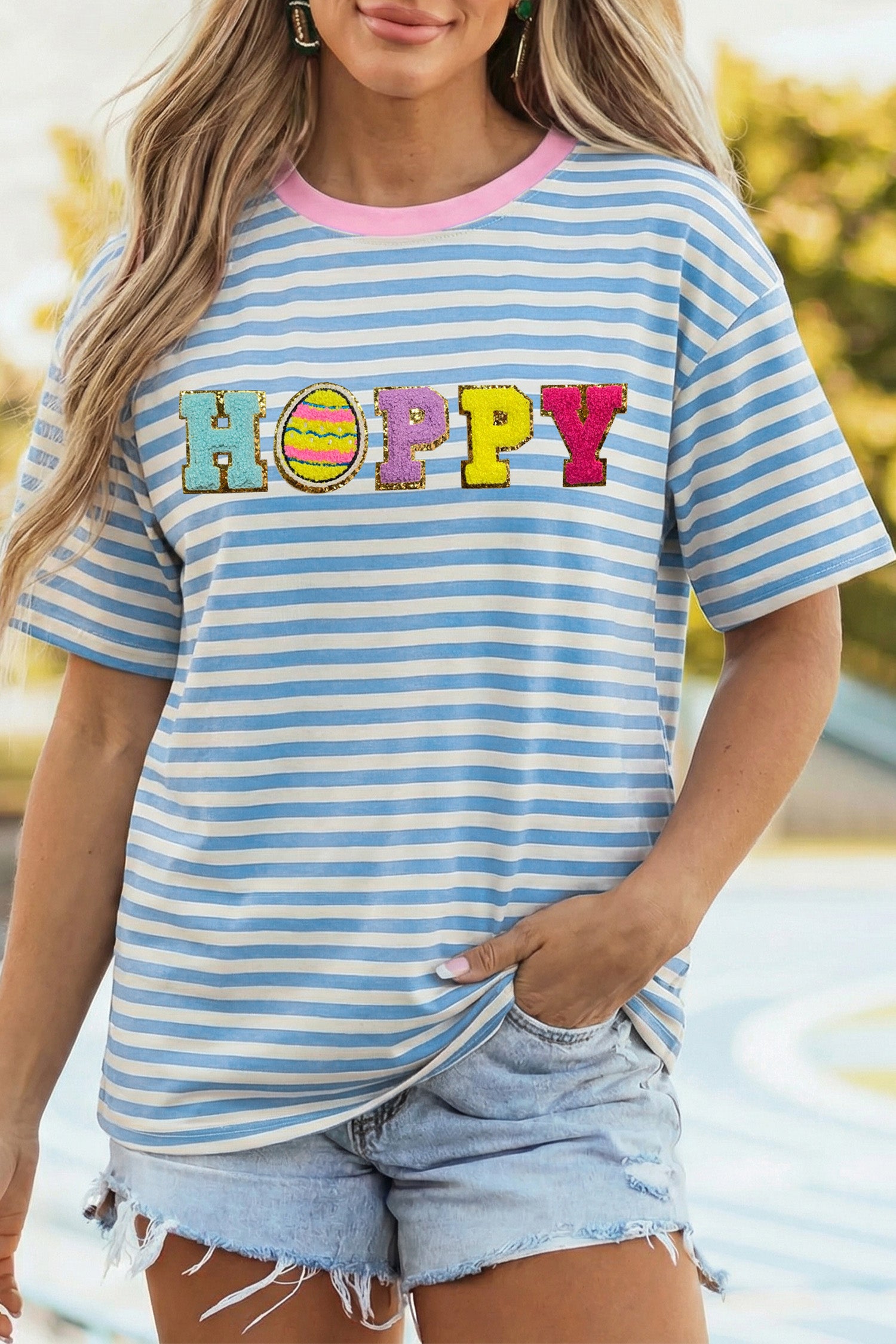 Sky Blue Stripe Hoppy Chenille Patched Graphic Crew Neck Tee