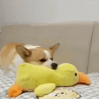 Mellow Dog Calming Duck Dog Toy
