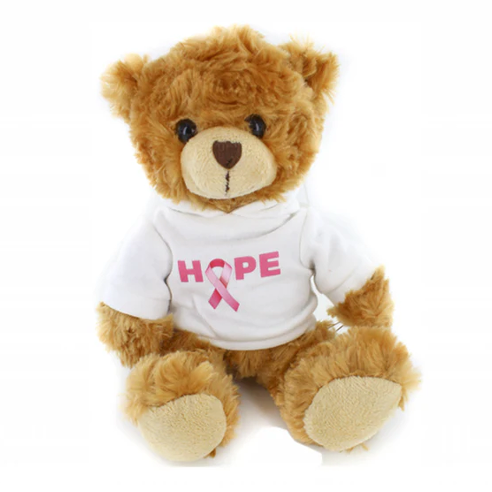 Hope Pink Ribbon Hoodie Bear 6inch
