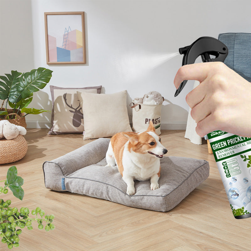 🔥Limited Sale🔥 Powerful Mite Remover Spray