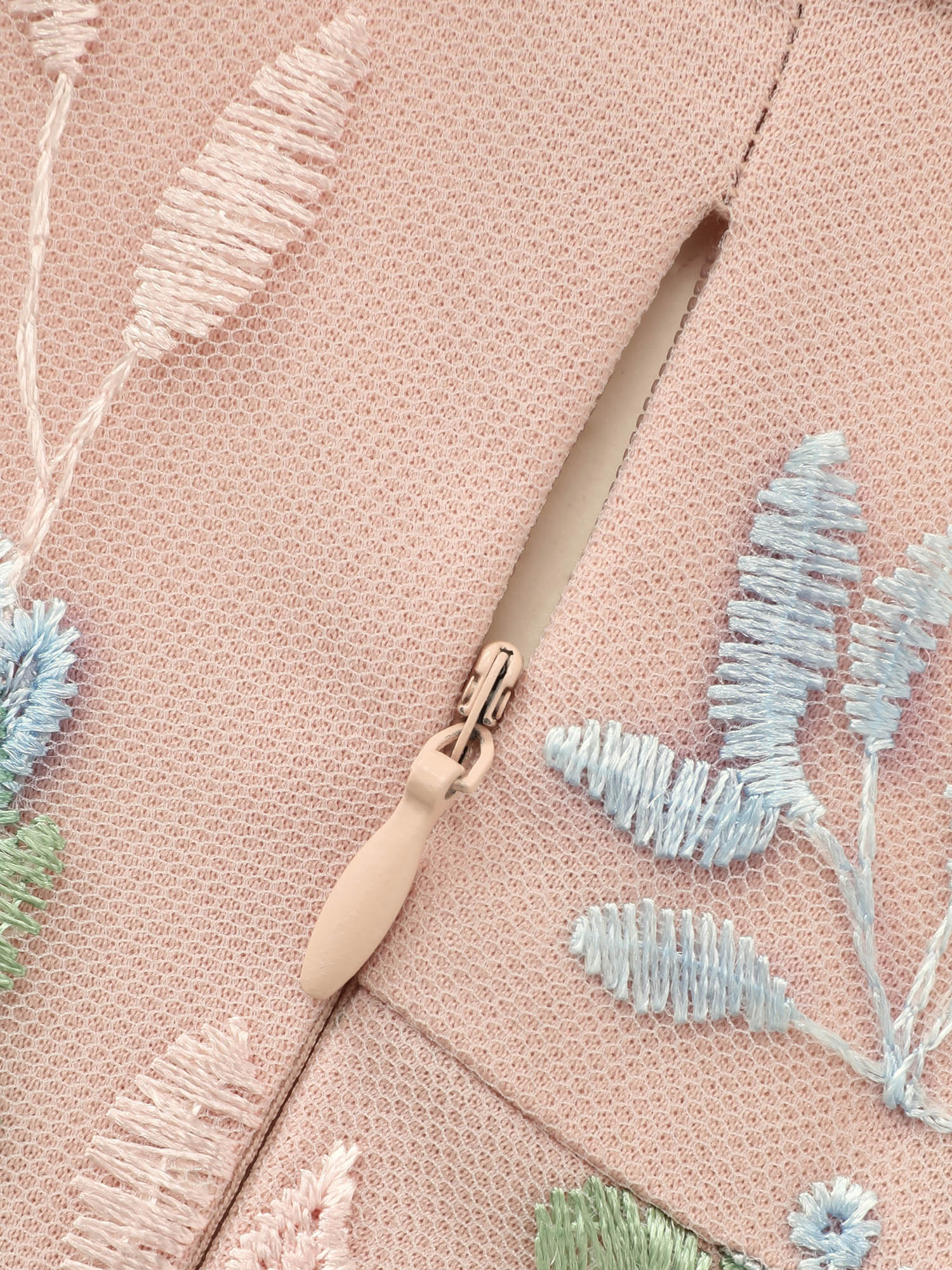 Floral Embroidered Mesh Fit And Flare Mini Dress