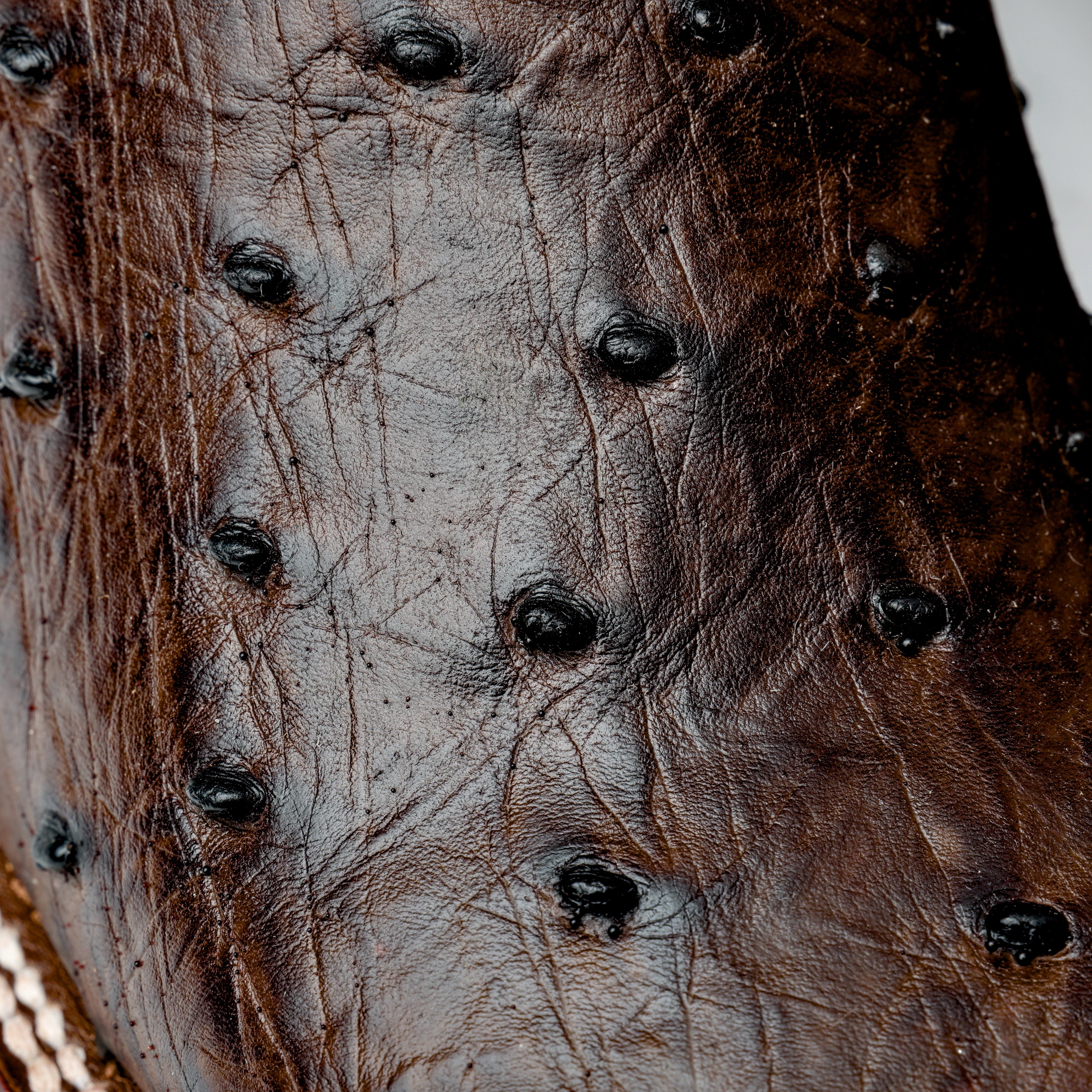 Brown Ostrich Leather Boots - Square Toe