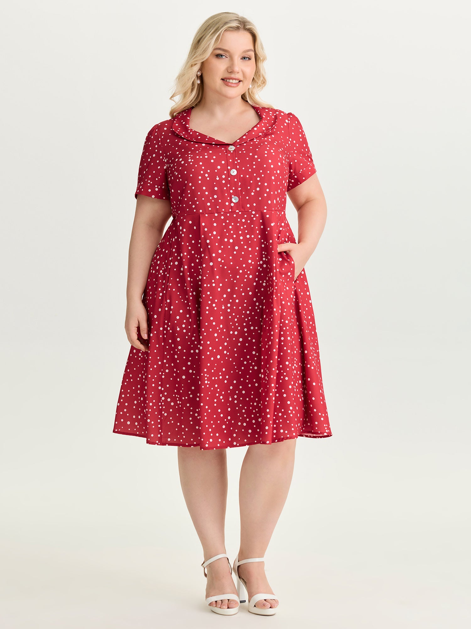 Romantic Floral Print Collar Midi Dress