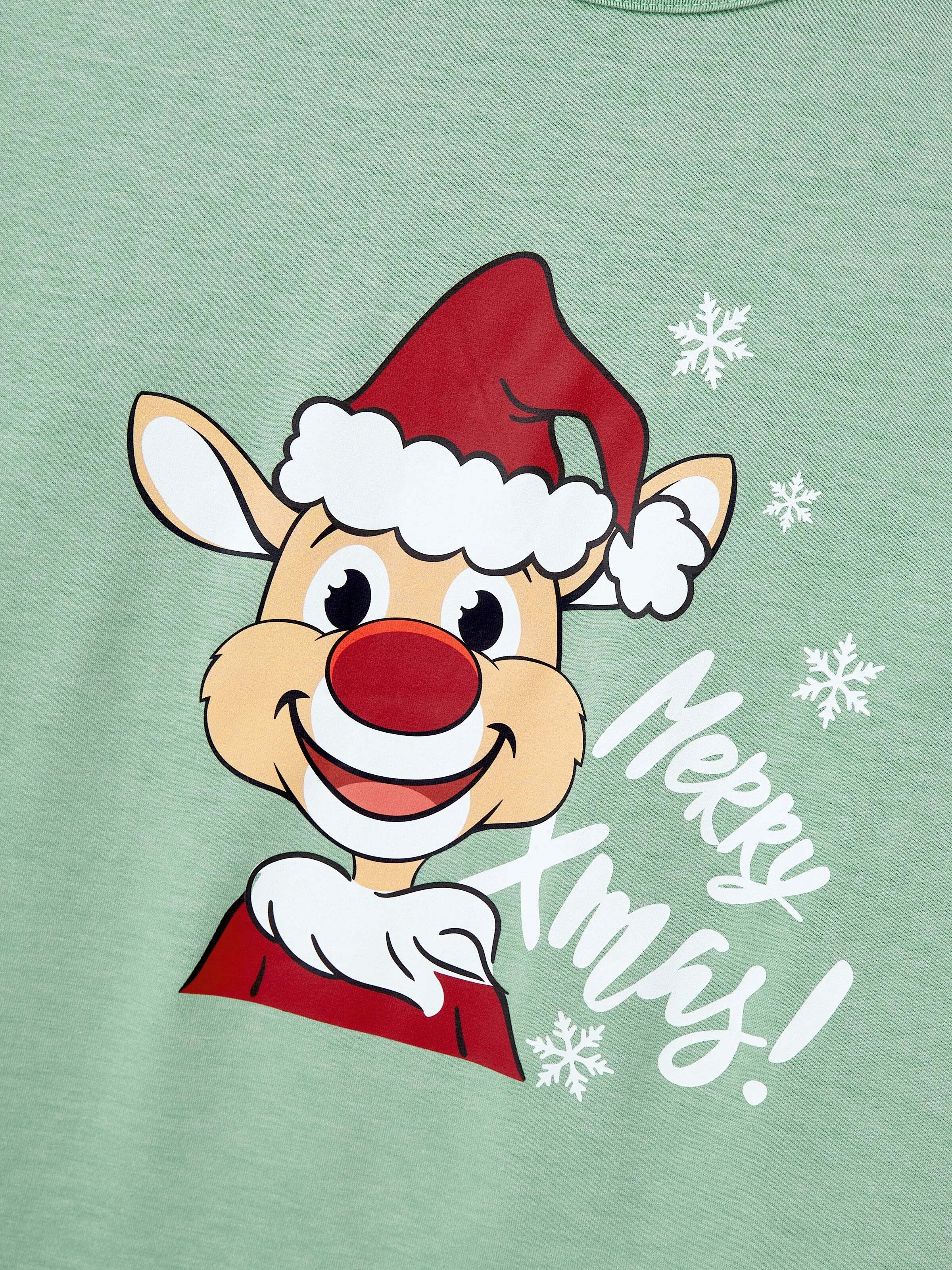 Christmas Matching Family Pajamas Set Christmas Spirit and Snowflake Print PJS with Christmas Socks Pale Green