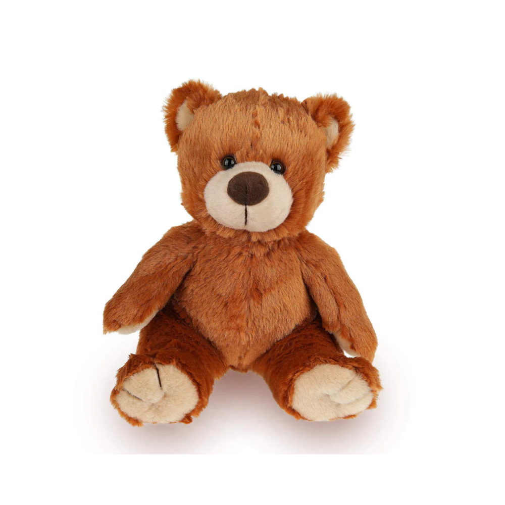 Noah Honey Gift Bear 12inch
