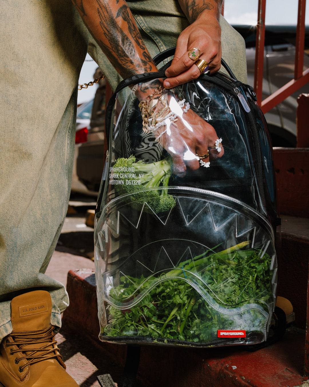 CLEAR BACKPACK - SHARK CENTRAL