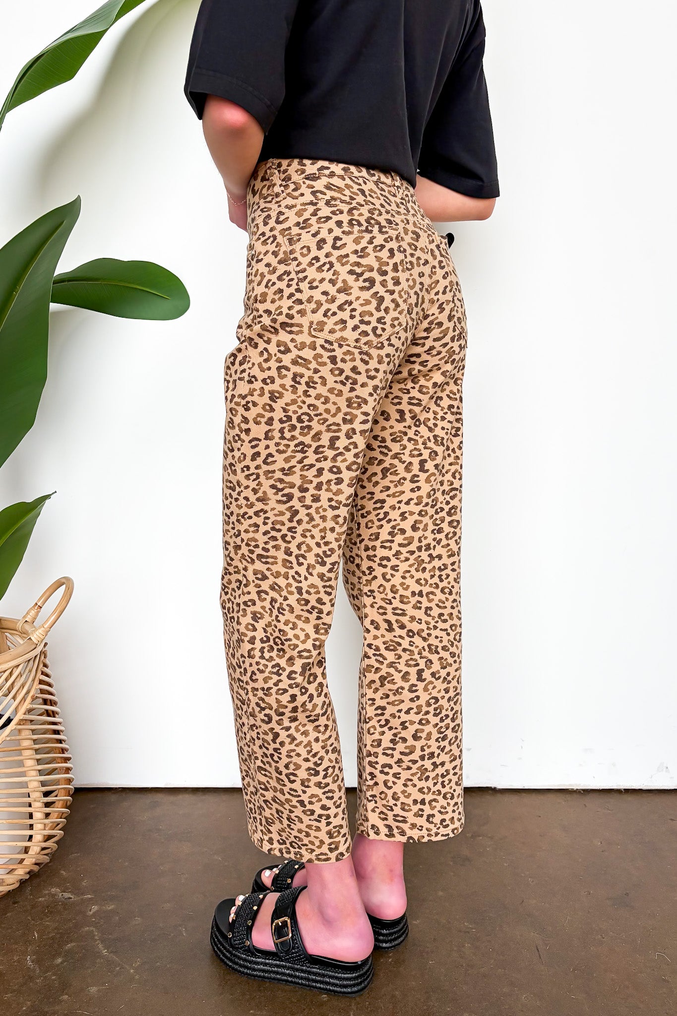 Animal Print Straight Leg Pants