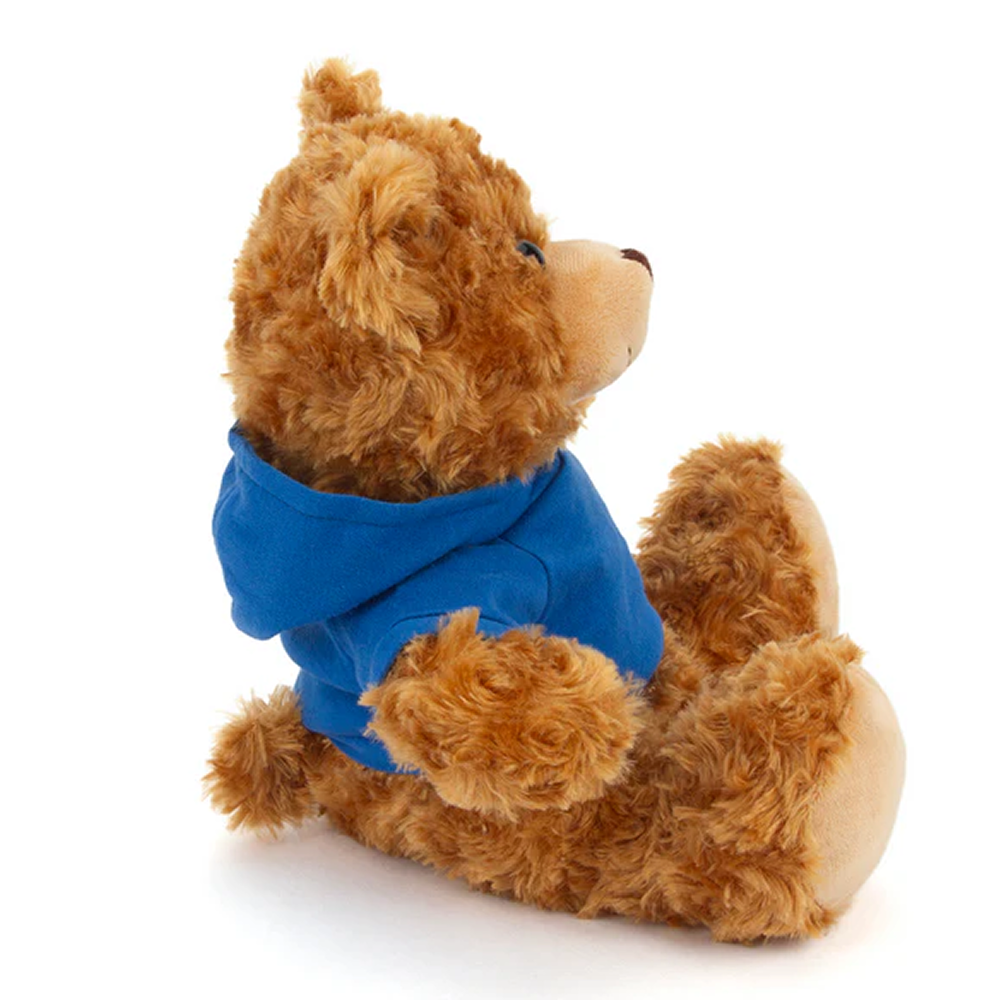 Customized Mocha Bear with Hoodie 11inch