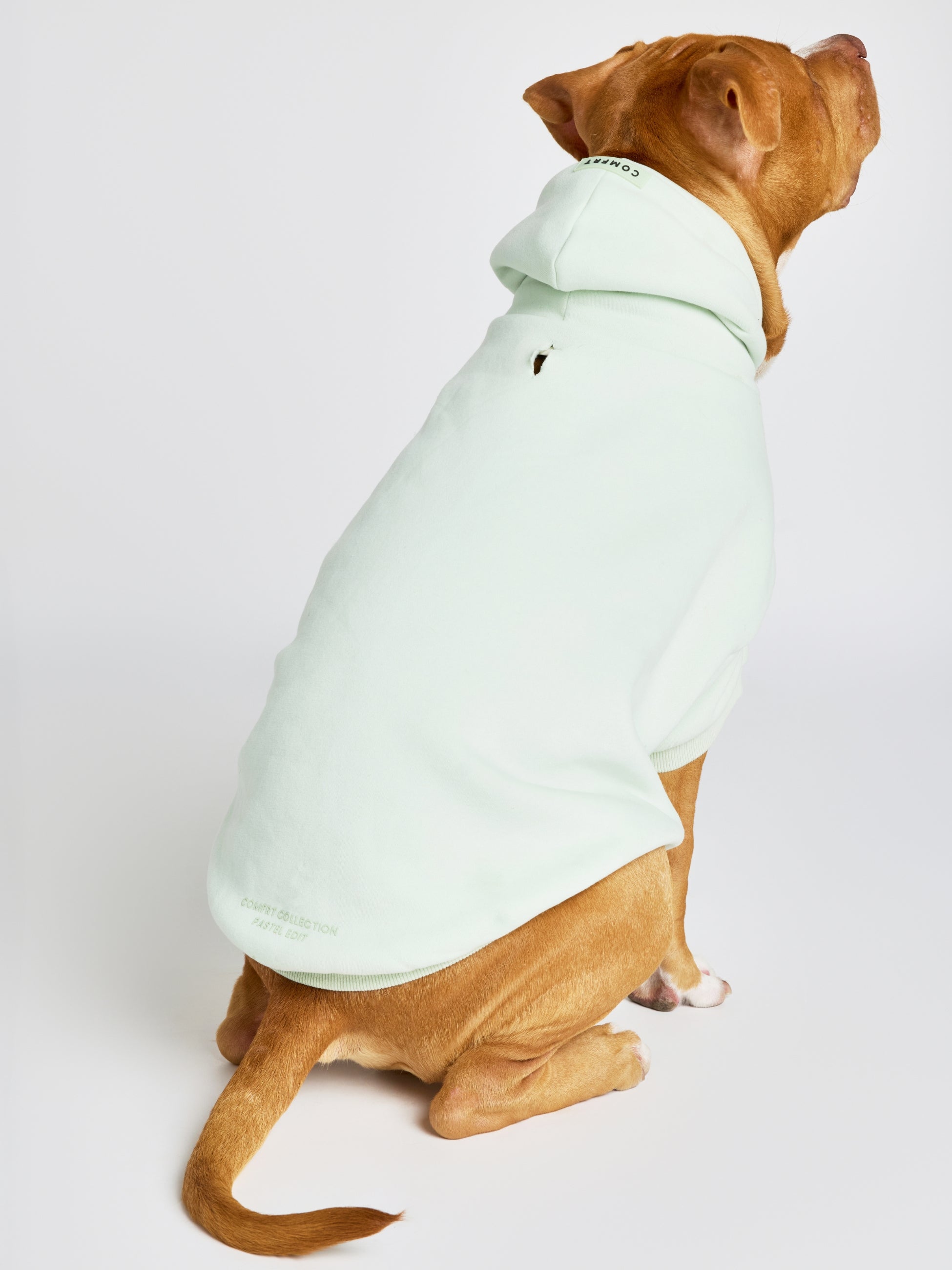 Pastel Paw Hoodie
