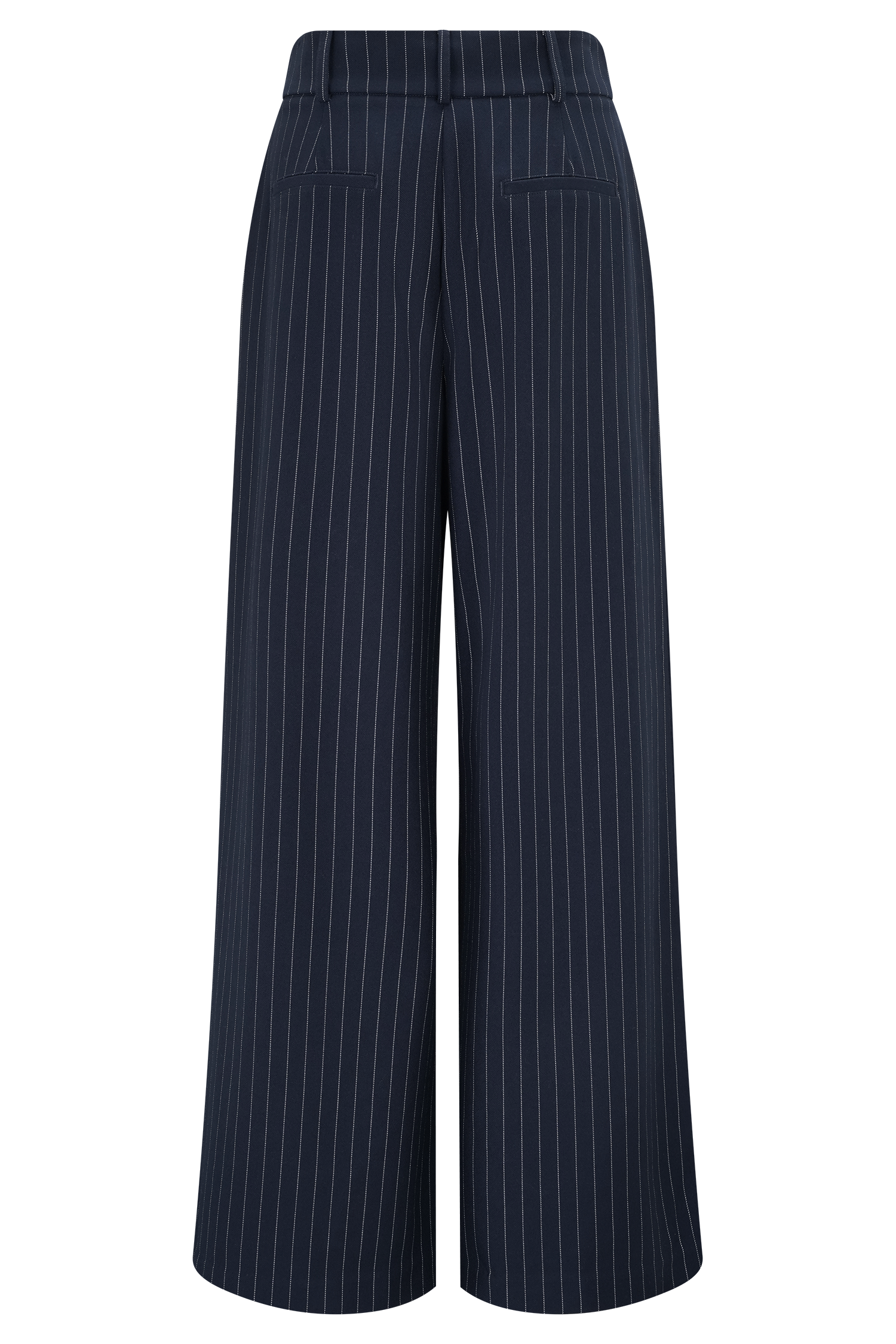 Pinstripe Pleated Wide Leg Pants