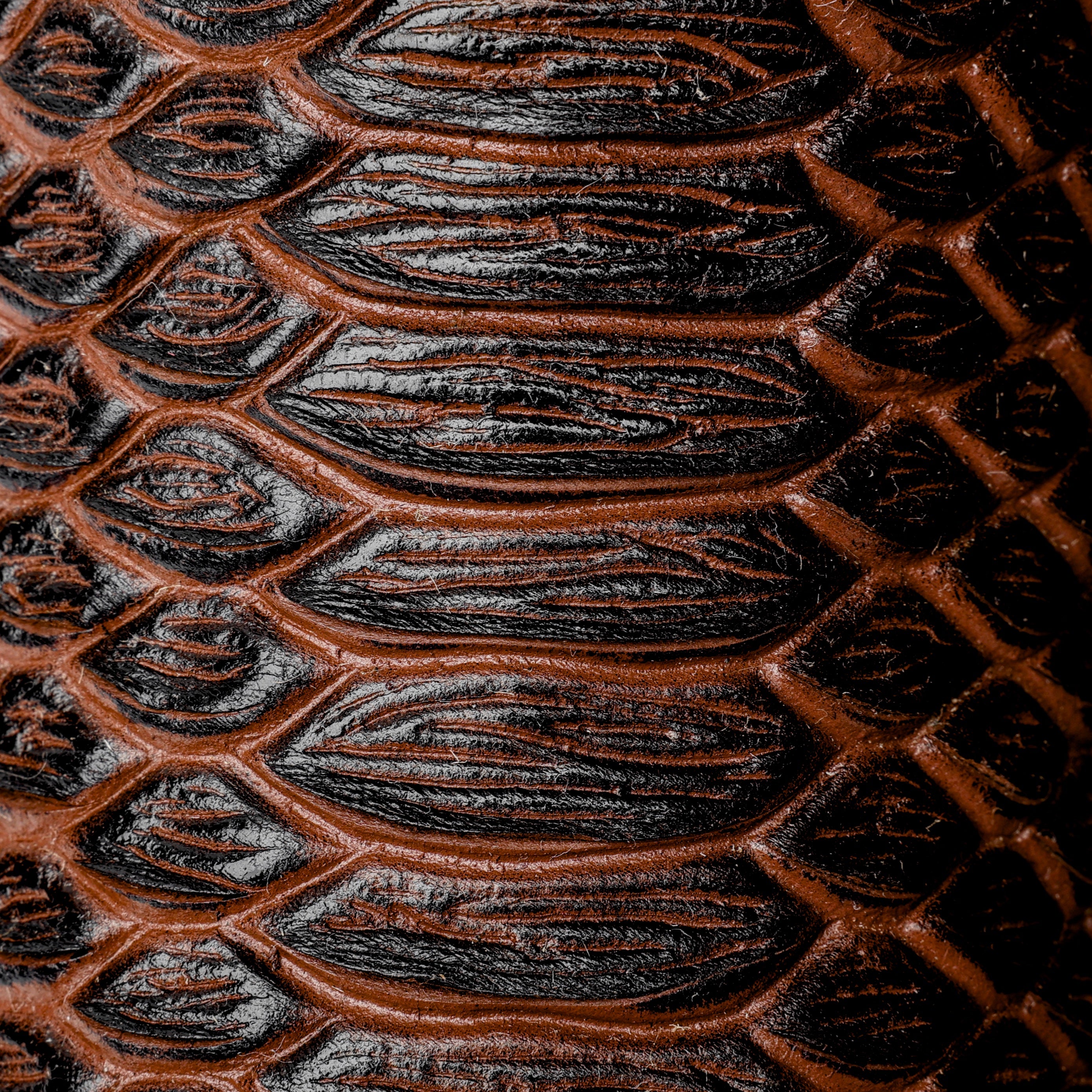 Chocolate Brown Python Leather Boots -Square Toe