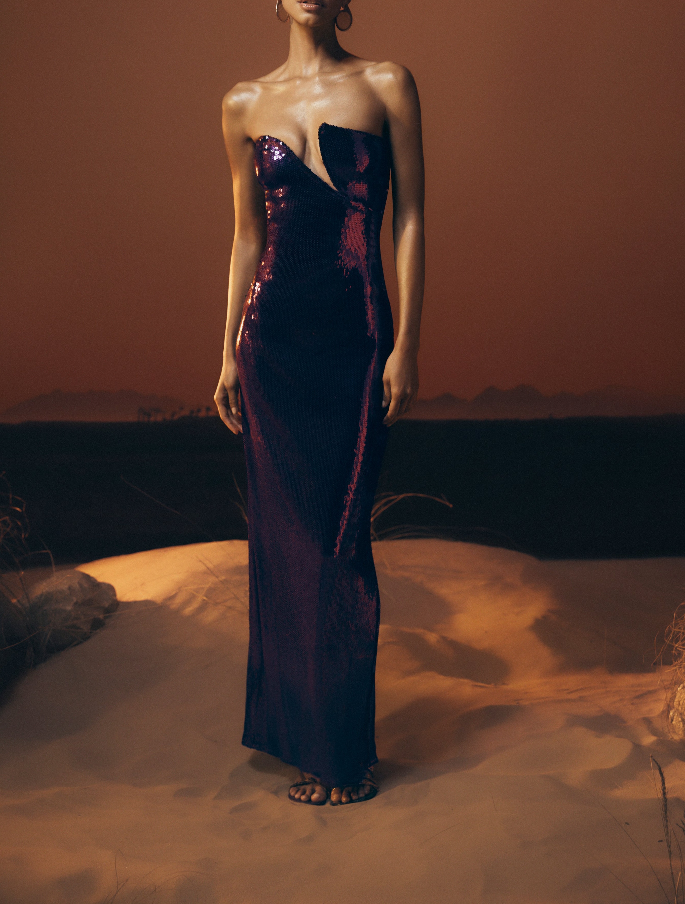 Plum Strapless Sequin Maxi Dress