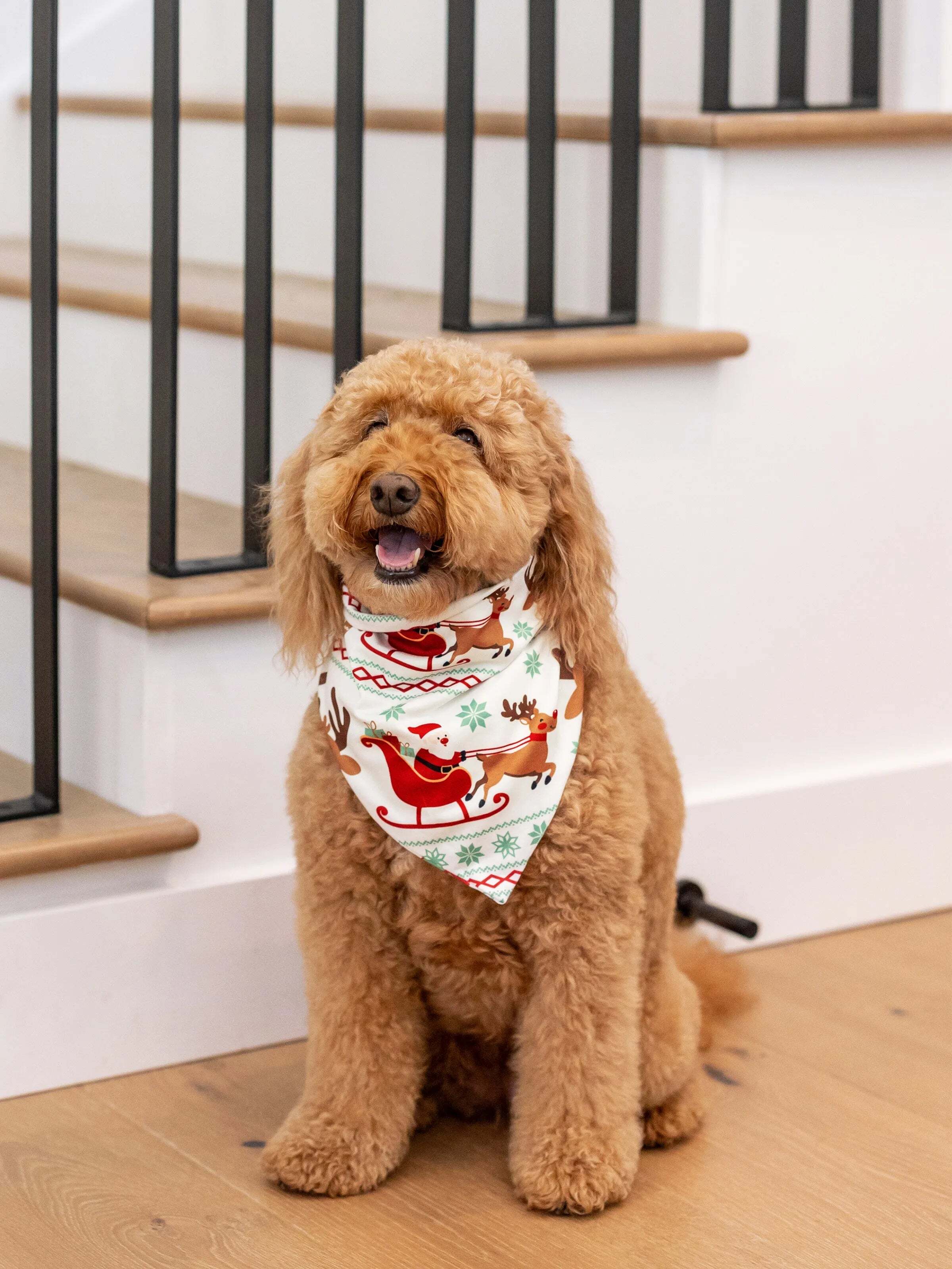 Christmas Onesies Matching Family Pajamas Set Reindeer Print Long-sleeve PJS with Christmas Socks Red