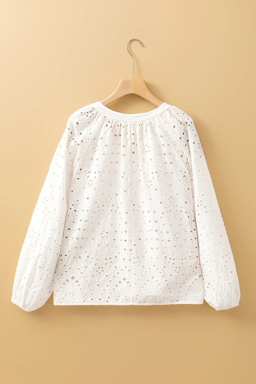 Eyelet Embroidered Puff Sleeve V Neck Blouse