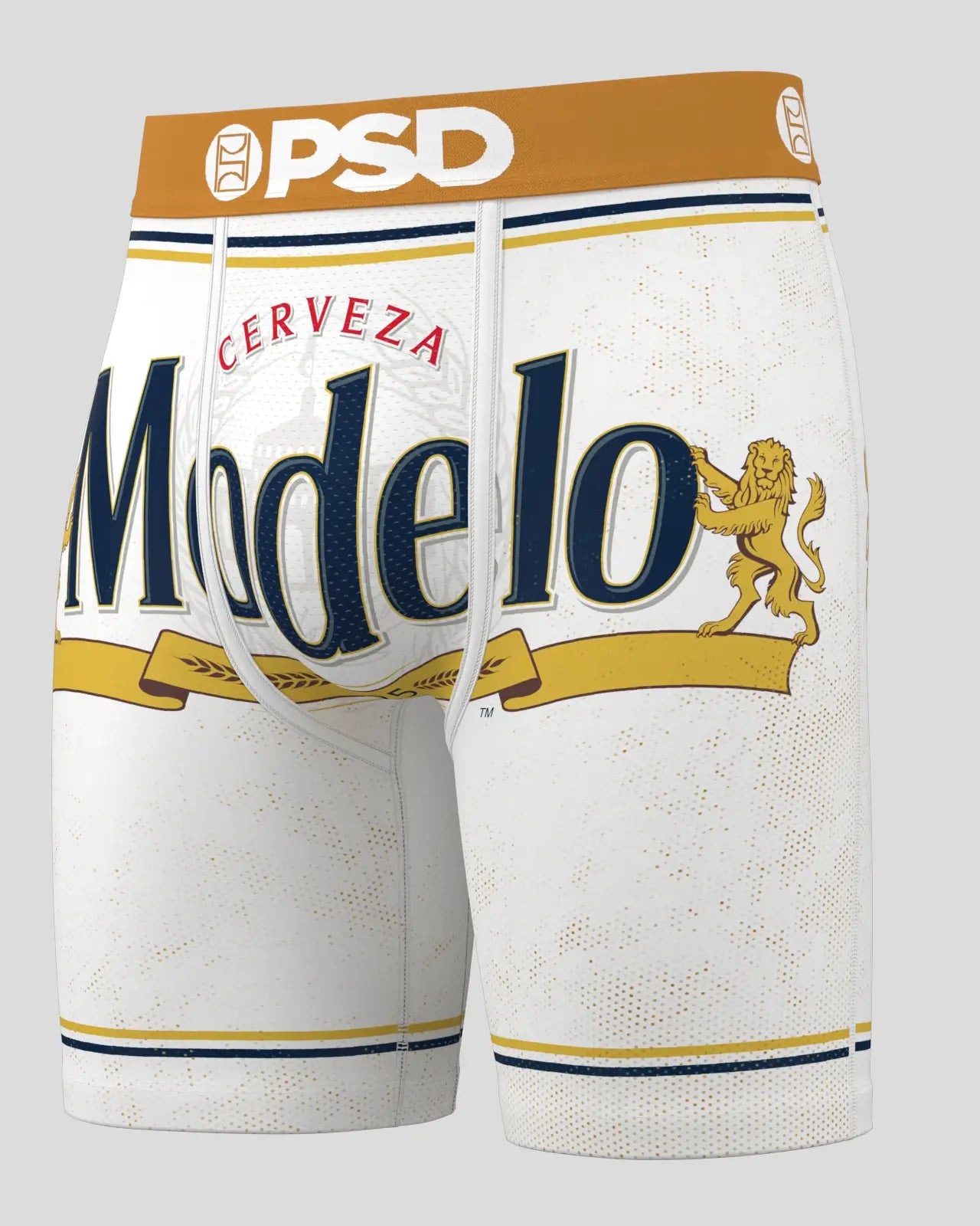 Modelo - Can