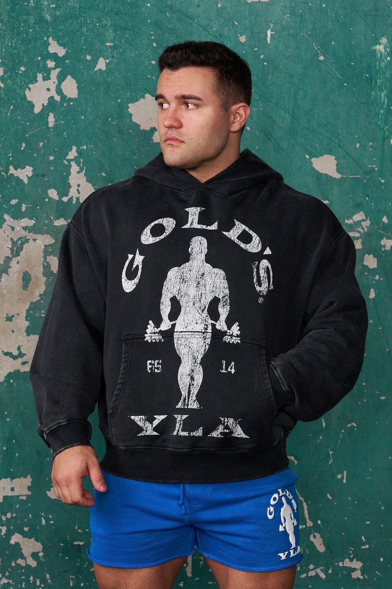5161 - Golds Gym Classic Pullovers