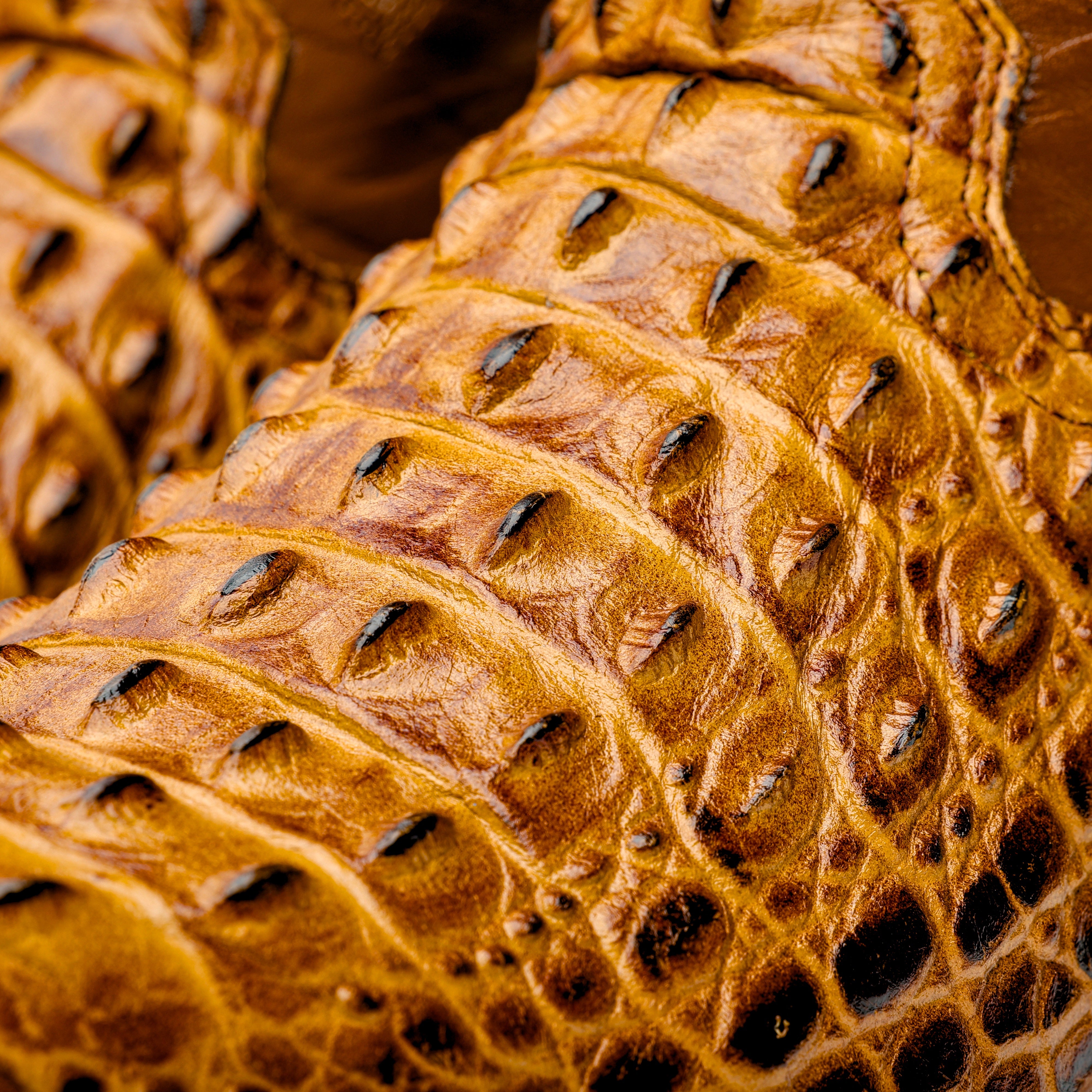 Honey Caiman Hornback Leather Boots - Square Toe