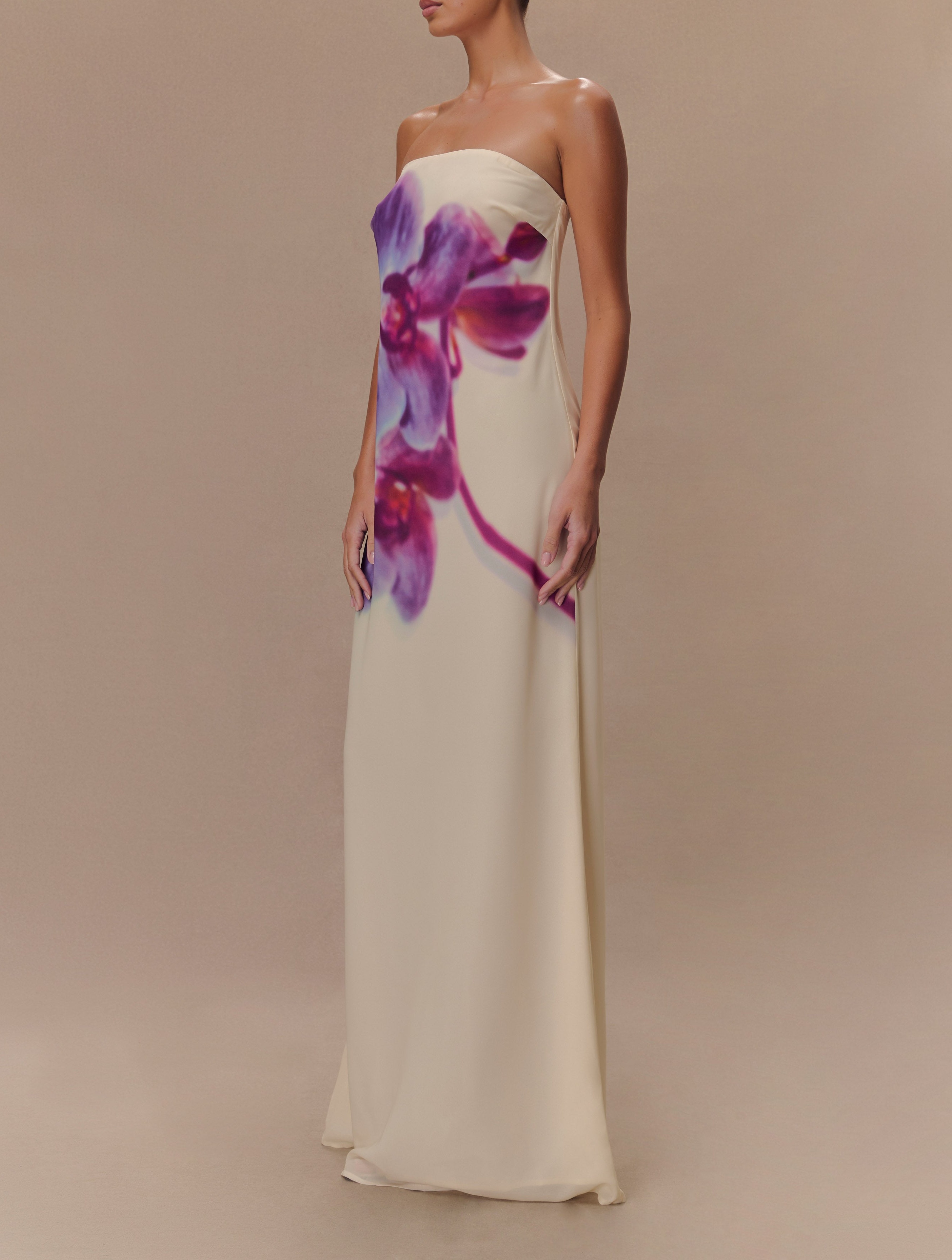 Print Strapless Chiffon Maxi Dress