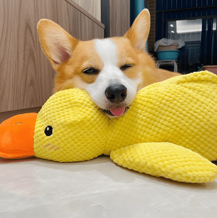 Mellow Dog Calming Duck Dog Toy