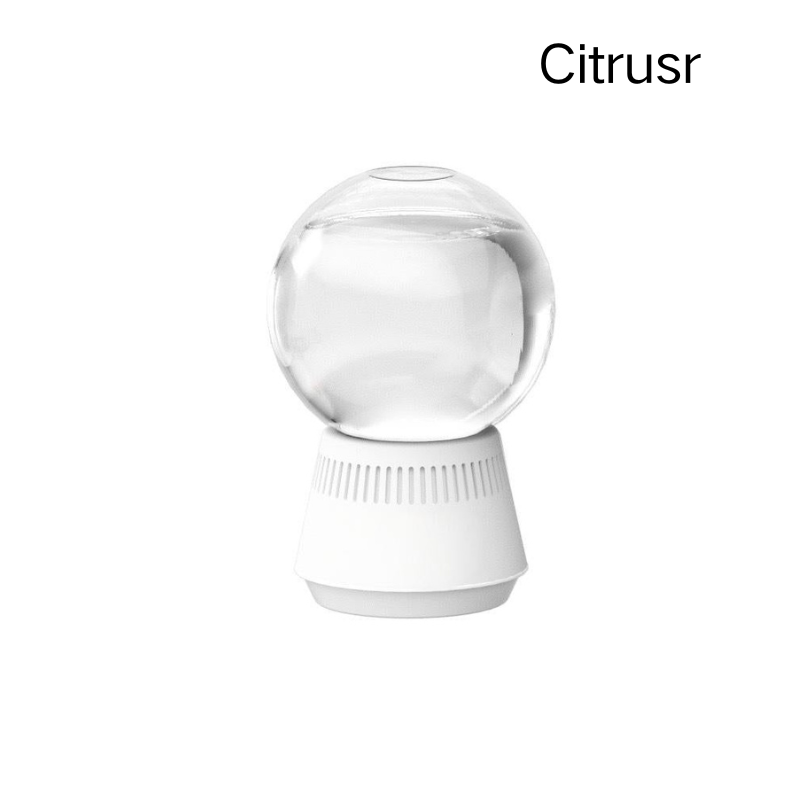 🔥2026 New Arrivals: 50% Off for a Limited Time!🔥Snow Globe-Shaped Inverted Aromatherapy