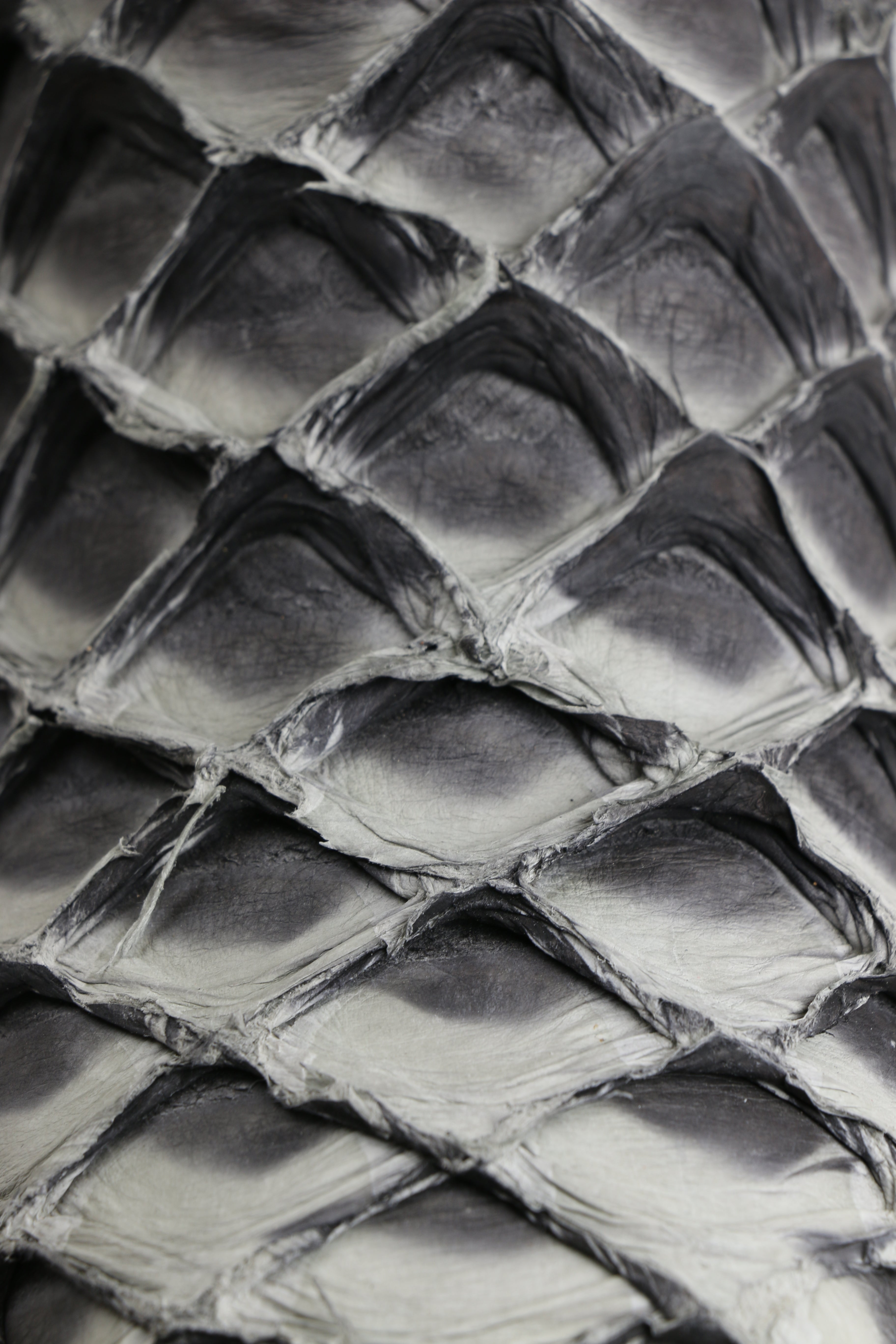 Chero's Premium Exotic Pirarucu Mockingbird Clearance Sale 70%OFF