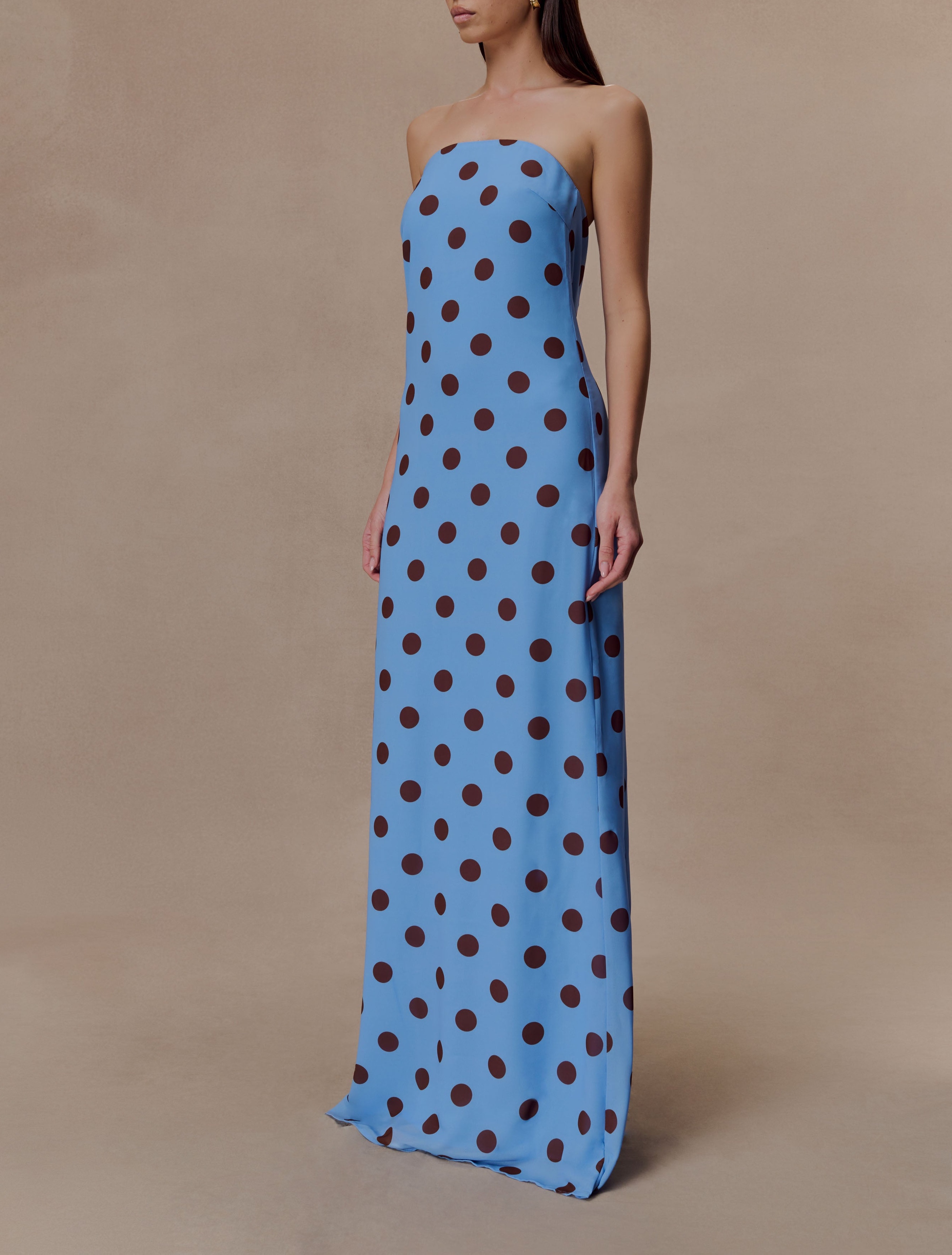 Dot Strapless Chiffon Maxi Dress