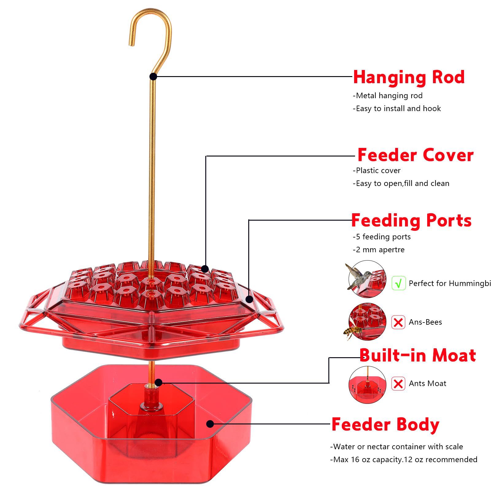 Hummingbird Haven Feeder
