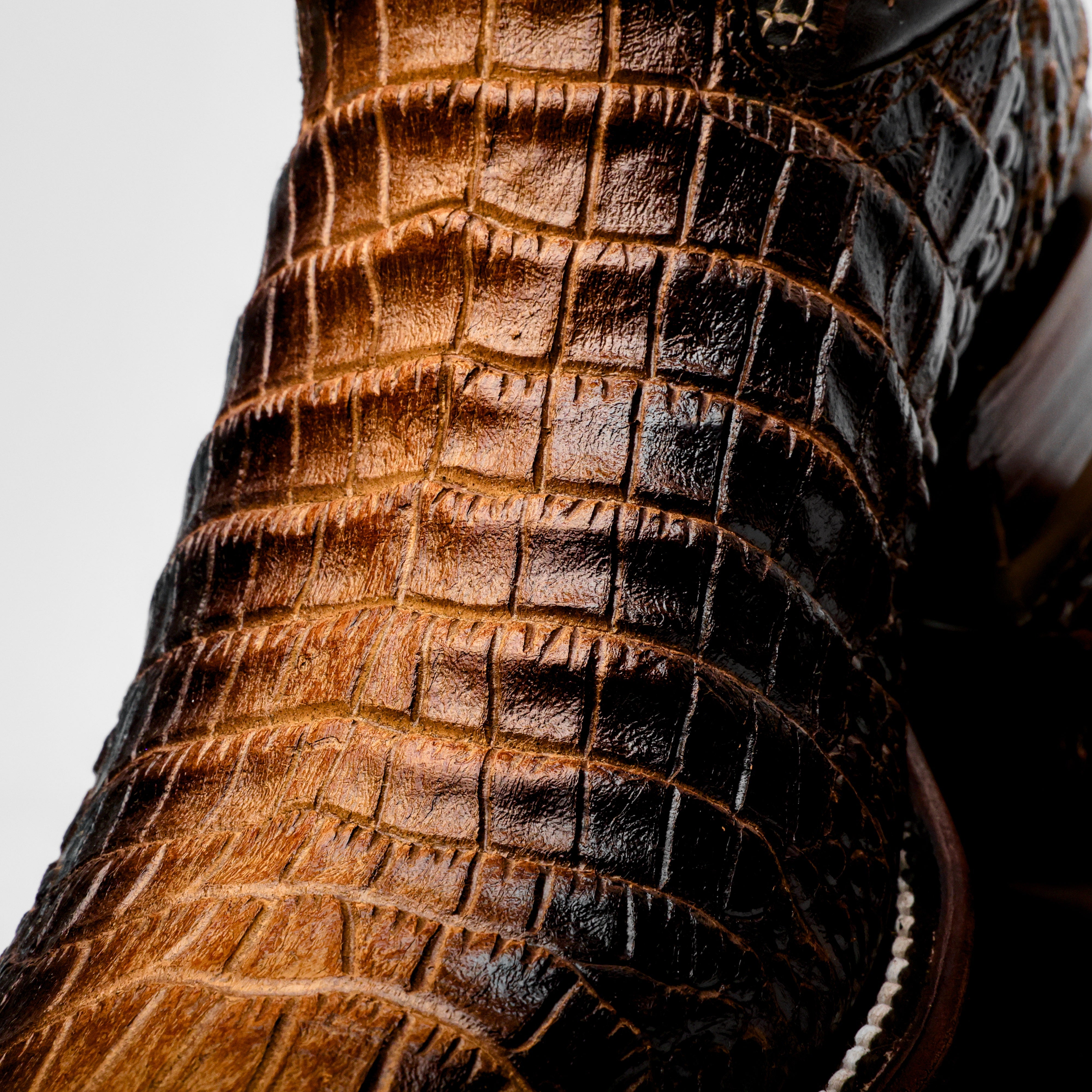 Two-Tone Honey Manglar Caiman Belly - Cutter Toe