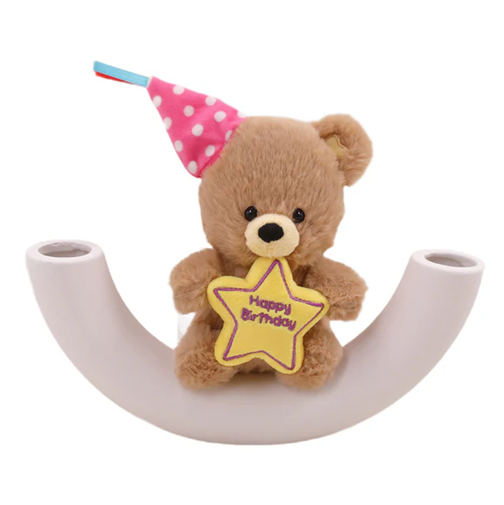 Birthday Star Bear with Hat 8inch