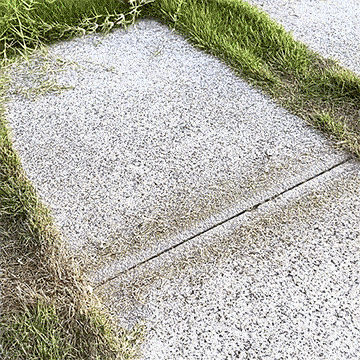 Adjustable Stainless Steel Crack Weeder