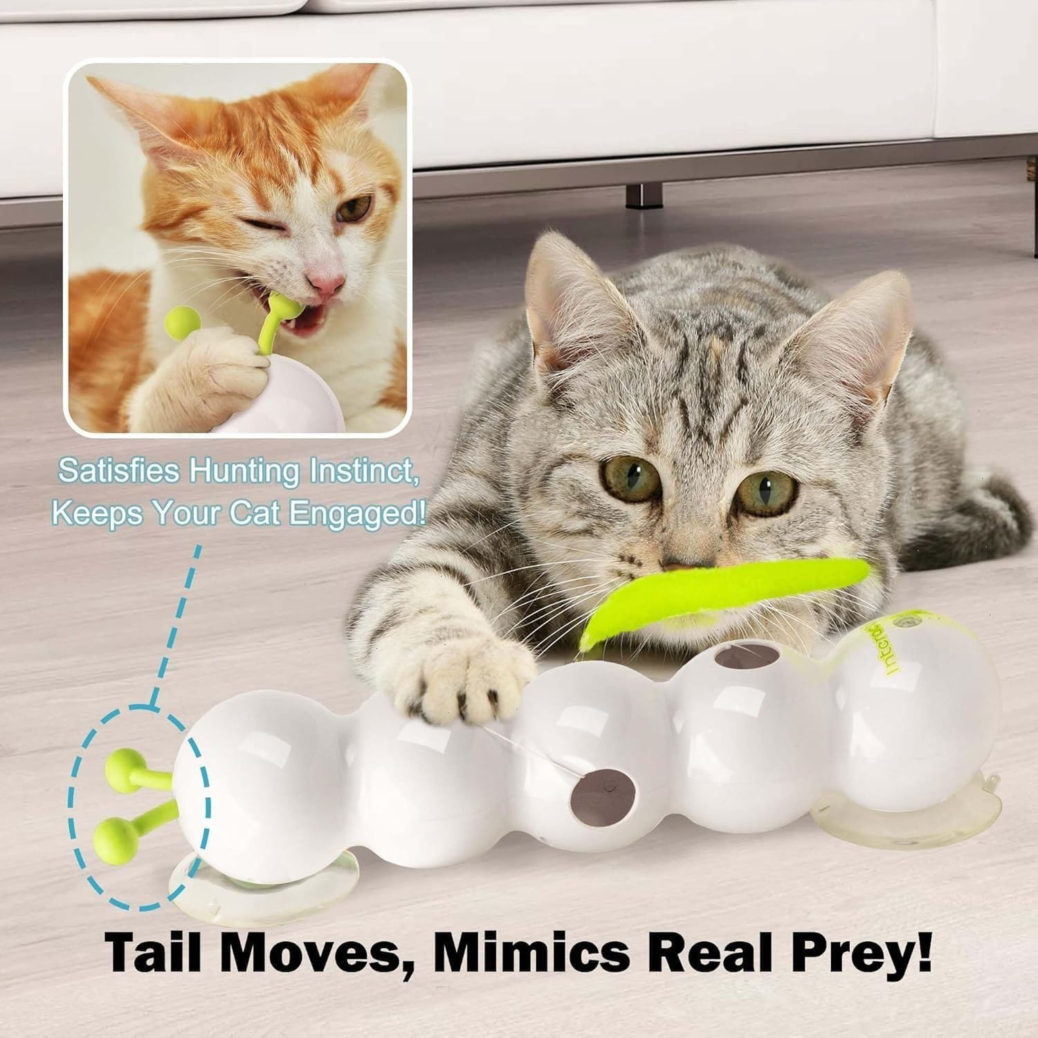 Motion Cat Toy With Worm