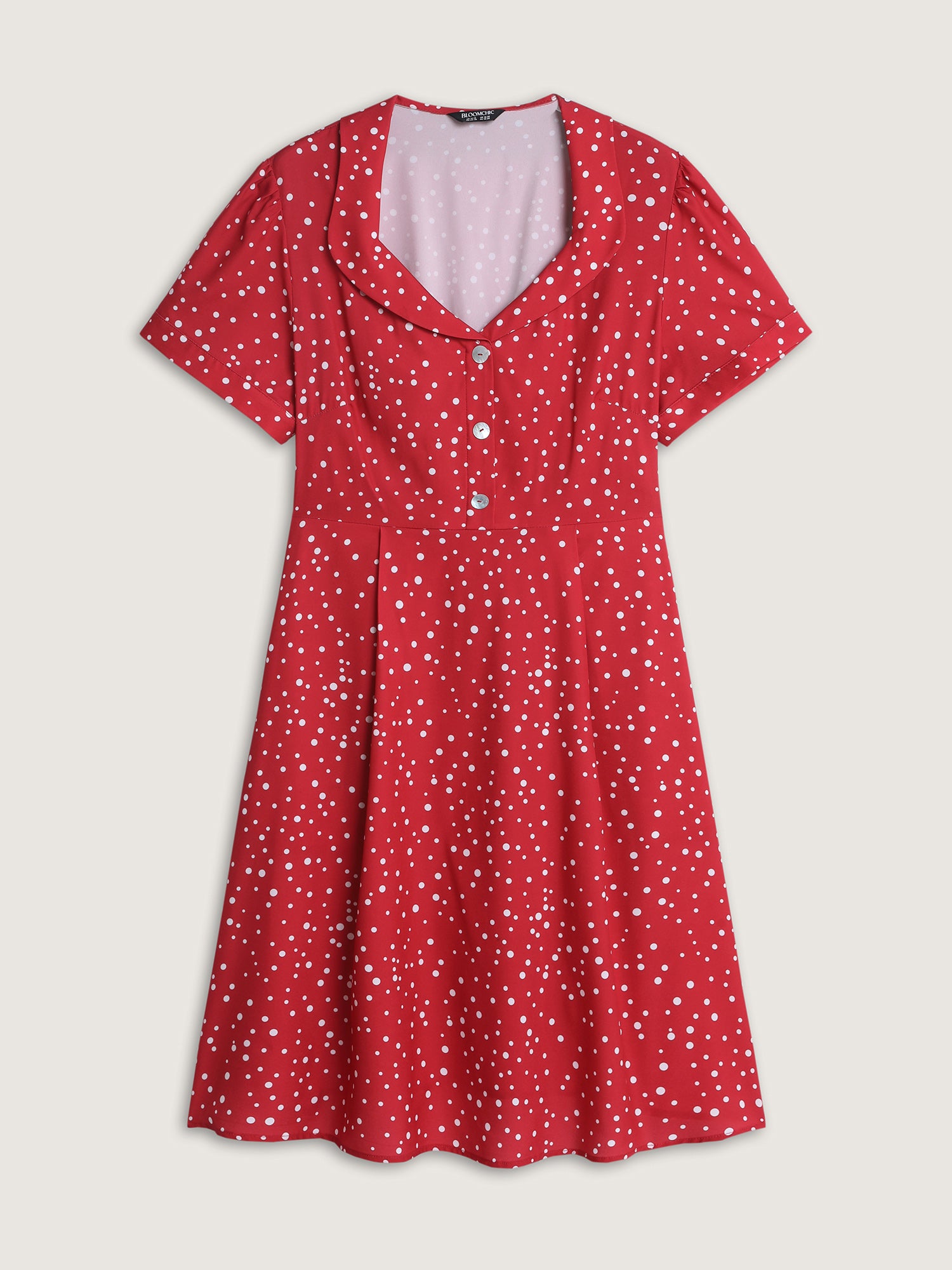 Romantic Floral Print Collar Midi Dress