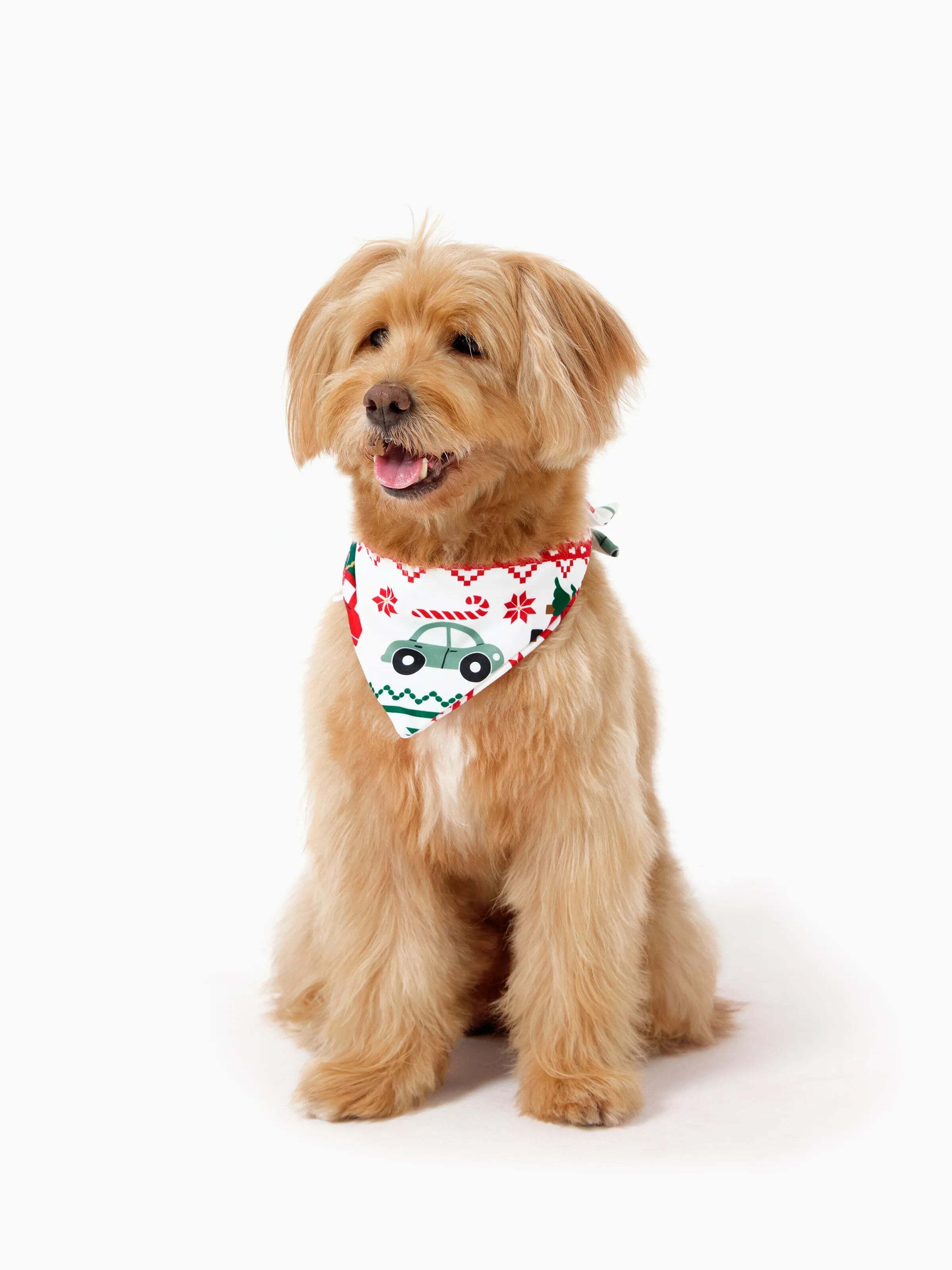 Christmas Matching Family Pajamas Set Snowflake and Car Print PJS with Christmas Socks Red