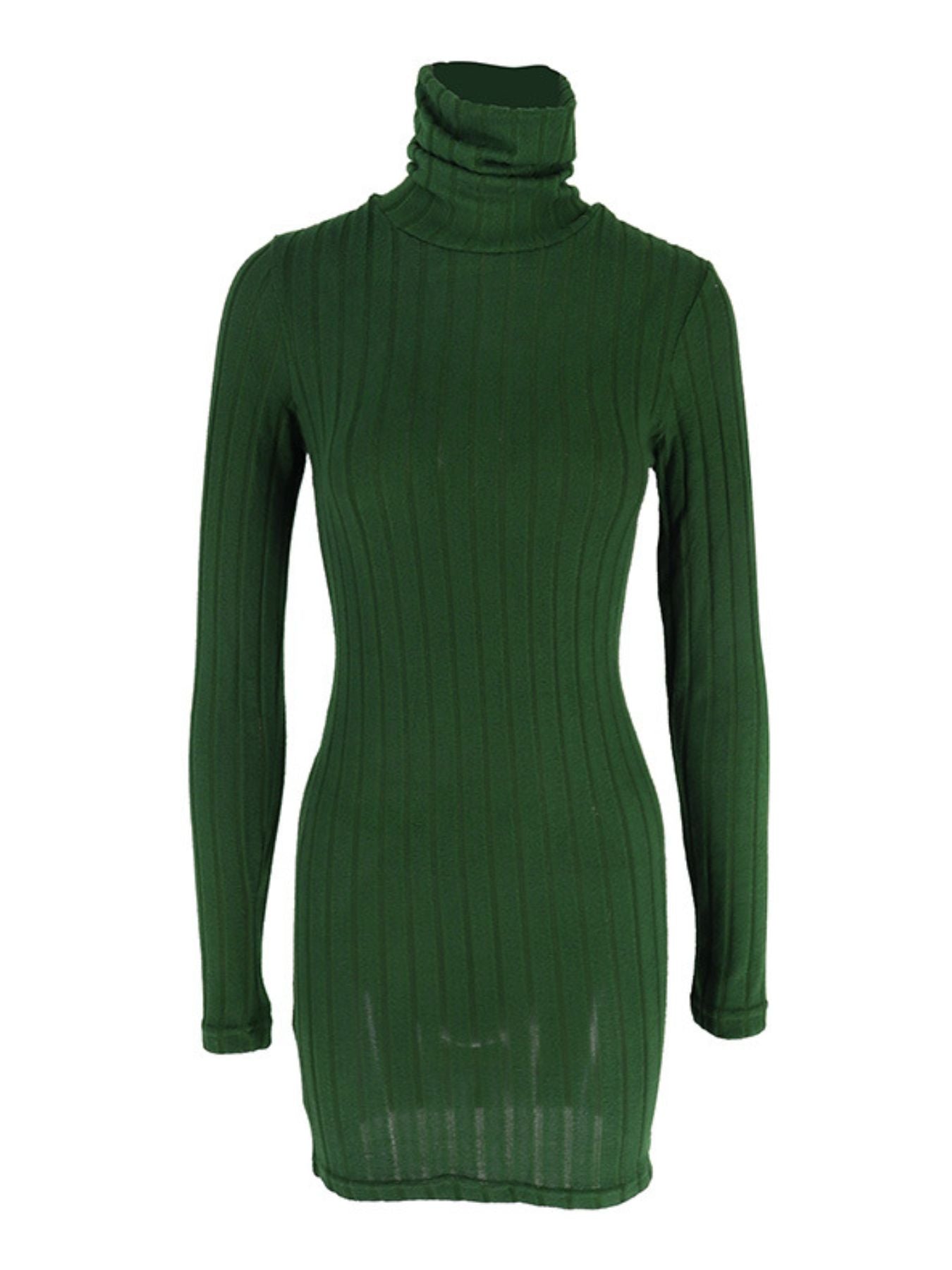 Turtleneck Ribbed Bodycon Mini Dress
