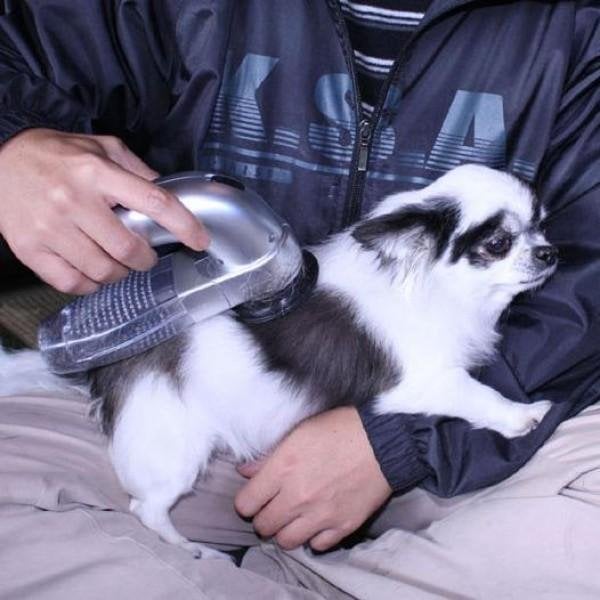 Handheld Vacuum for Pet Hair
