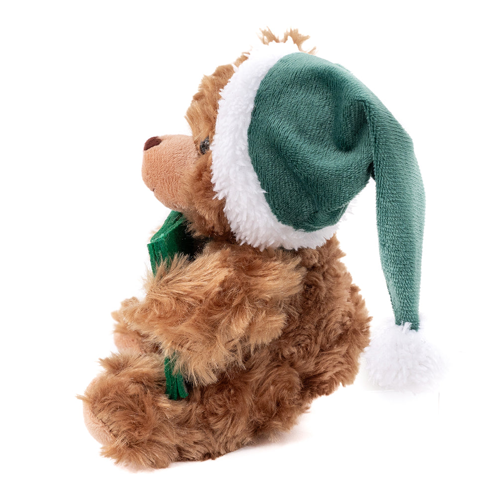 Christmas Green Gift Card Bear 9inch