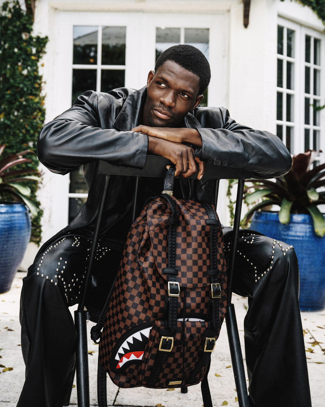 SAWTOOTH SHARKS IN PARIS HILLS BACKPACK