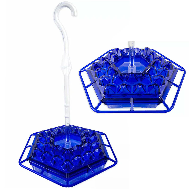 Sweety Hummingbird Feeder