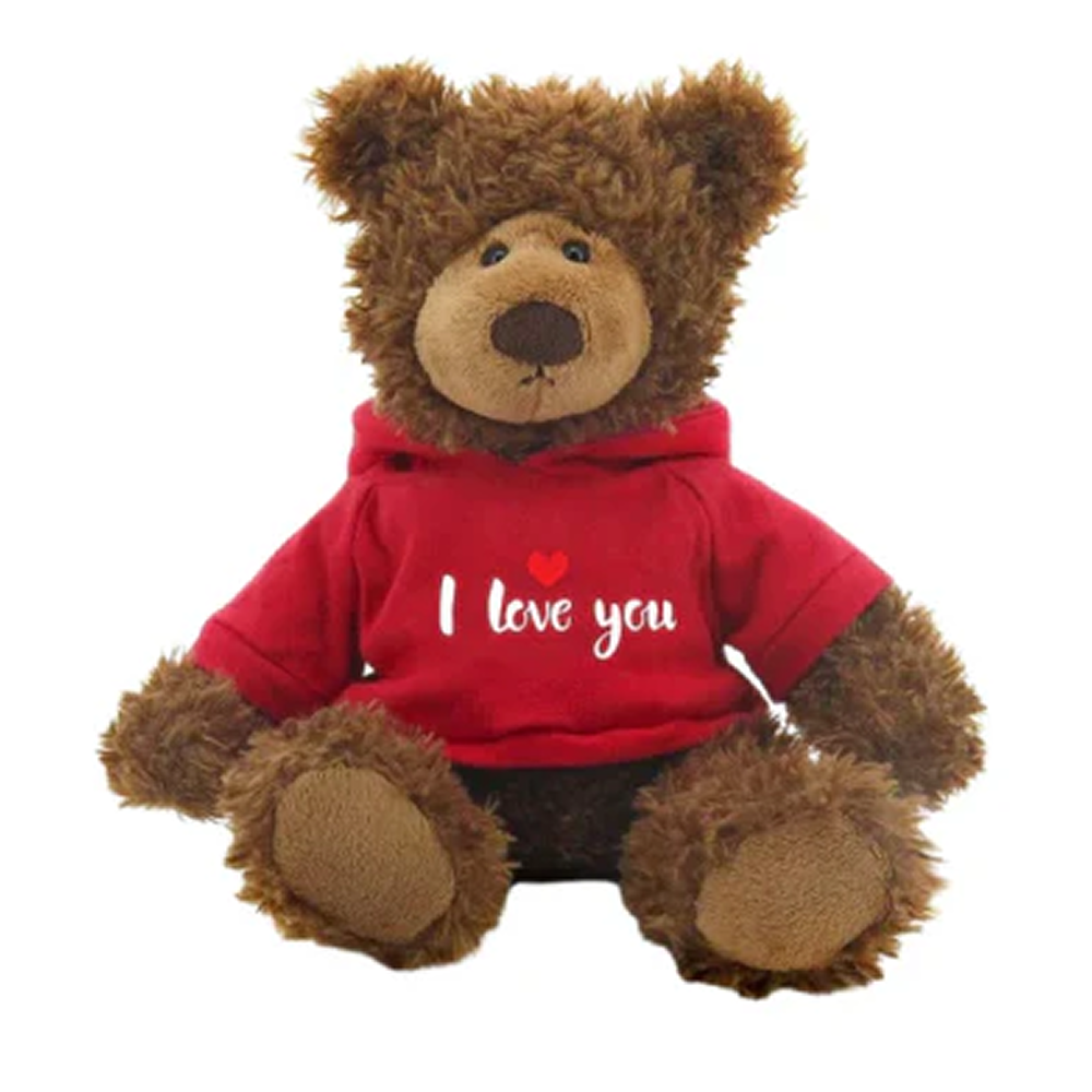 Frankie Bear with Love Hoodie 10inch
