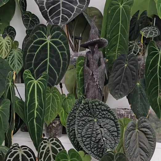 Hand-Painted Enchanting Witch Statue: The Guardian of Your Home