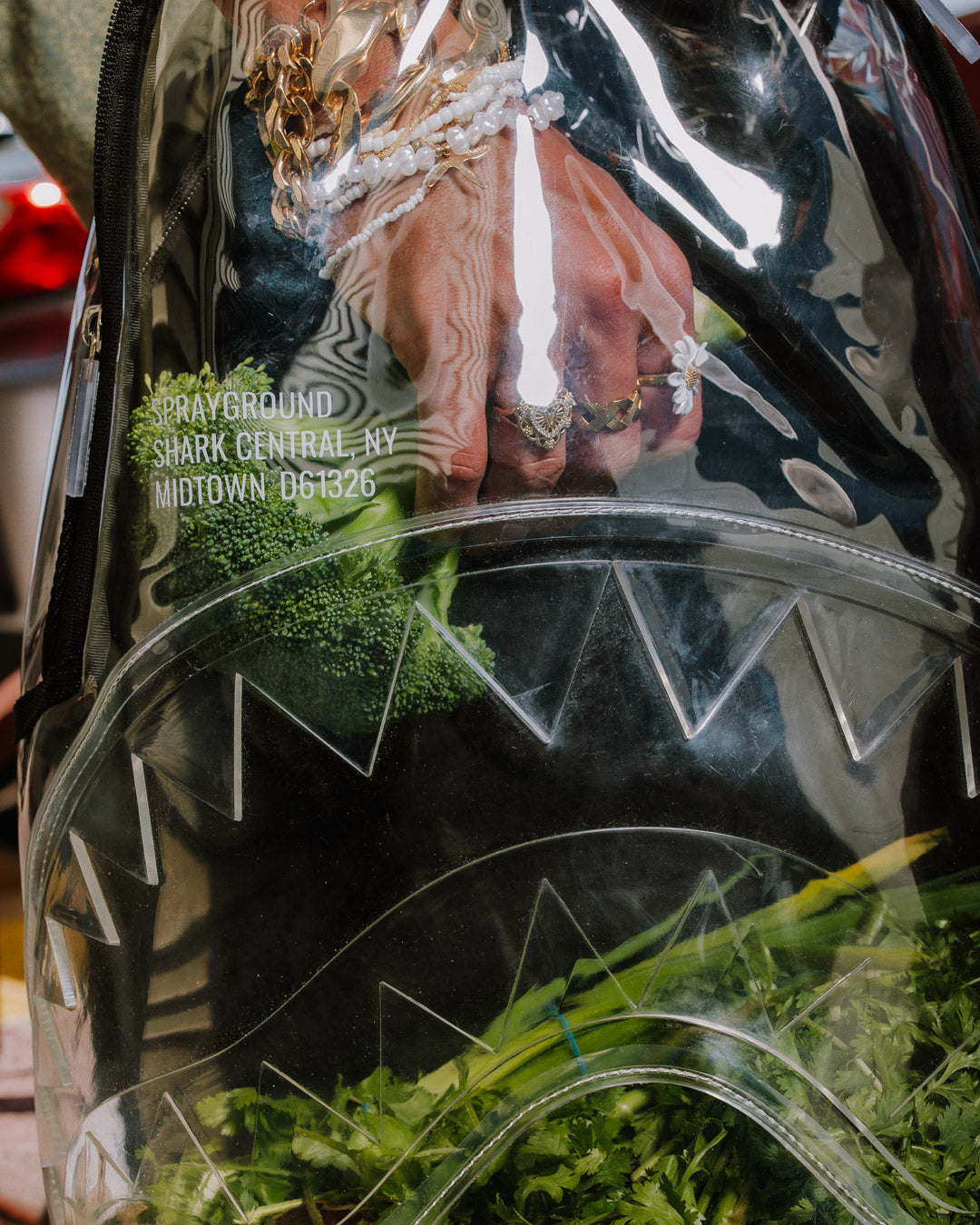 CLEAR BACKPACK - SHARK CENTRAL