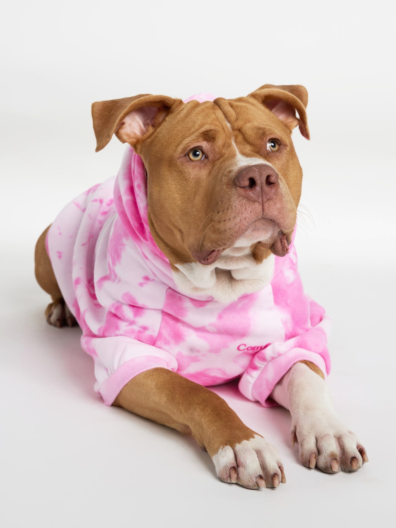 Minimalist Paw Hoodie