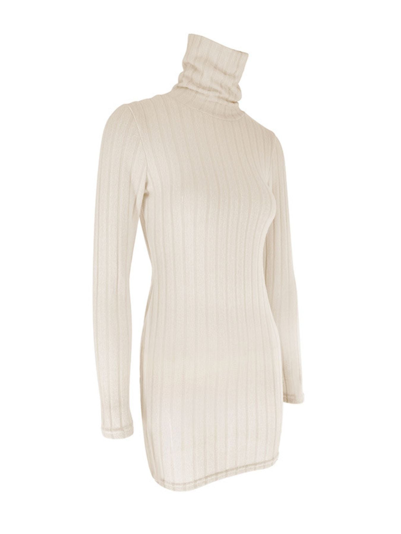 Turtleneck Ribbed Bodycon Mini Dress